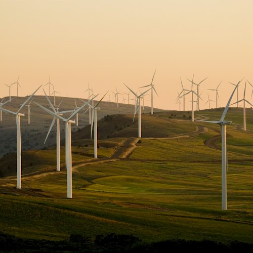 Wind turbines on hills at golden hour